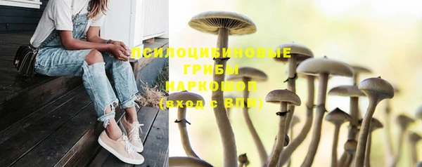 spice Верея