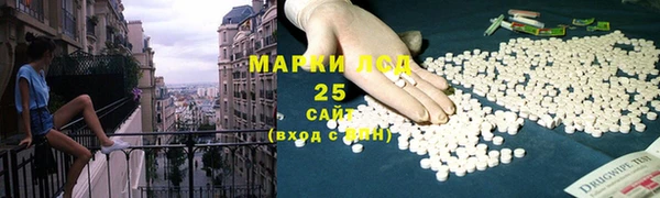 spice Верея